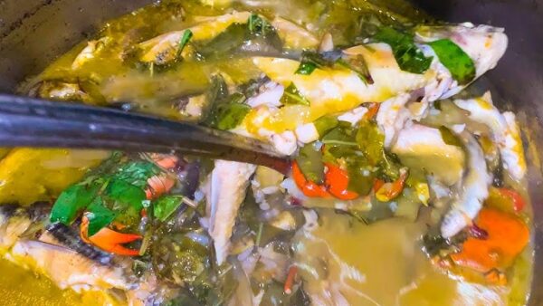 Lẩu Cá Suối Tây Bắc